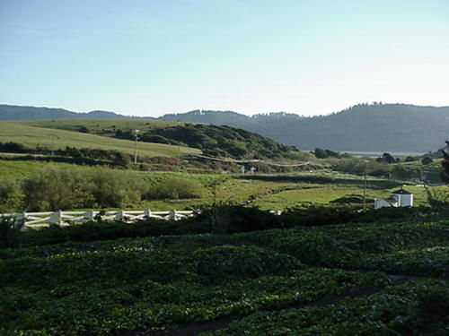 Point Reyes Vineyard Inn California City Exteriör bild