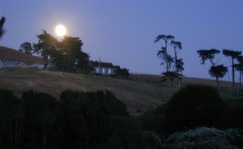 Point Reyes Vineyard Inn California City Exteriör bild