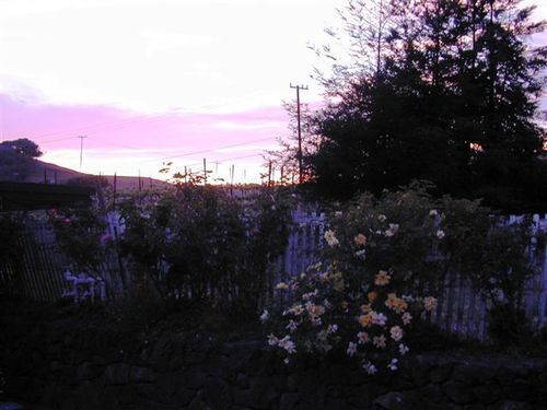 Point Reyes Vineyard Inn California City Exteriör bild