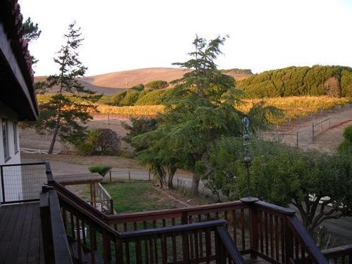 Point Reyes Vineyard Inn California City Exteriör bild