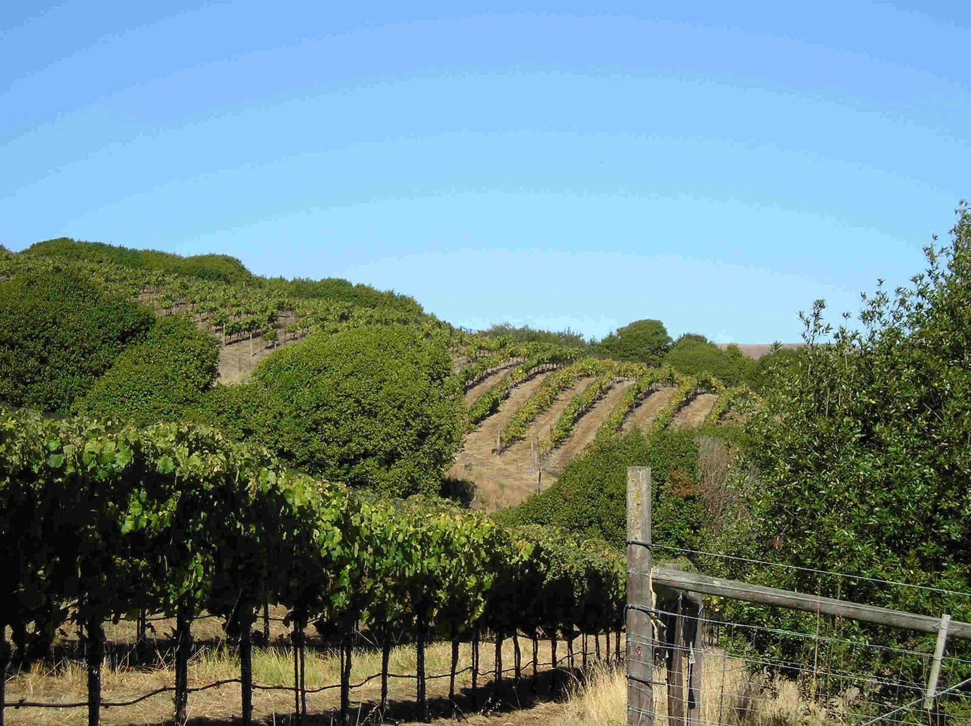Point Reyes Vineyard Inn California City Exteriör bild